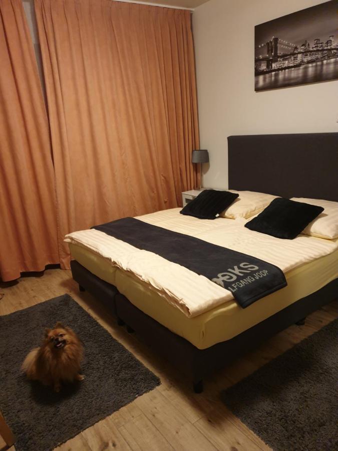 Hotel Eigelstein โคโลญ ภายนอก รูปภาพ